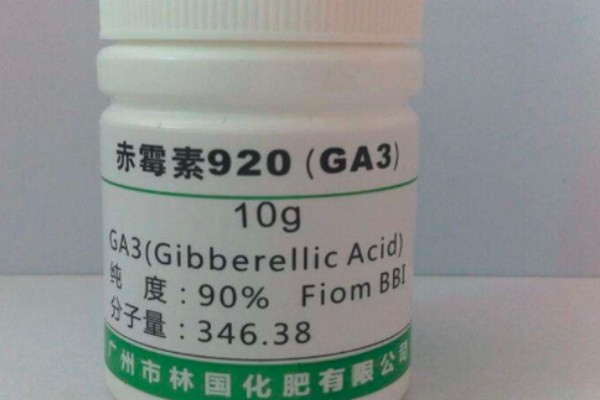 赤霉素有哪些作用，能起到促进花芽分化、刺激植物细胞伸长等效果