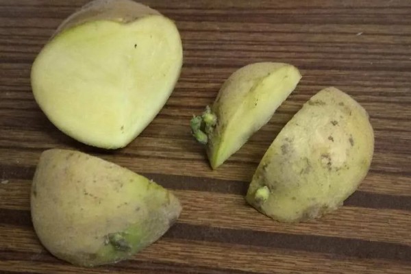 土豆的亩产量,一般能达到3000-5000斤左右