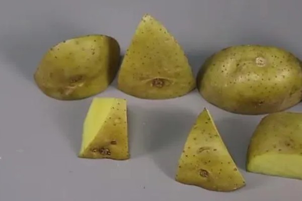 土豆的亩产量,一般能达到3000-5000斤左右