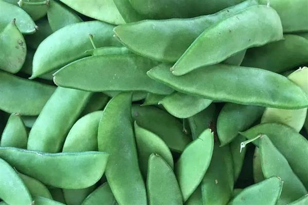 扁豆的上市的时间，6-10月份集中上市