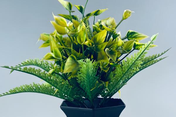 植物害怕哪种光,绿色光源会从植物体内穿透或反射