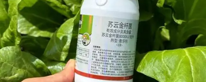 苏云金杆菌持效期有多少天，持效期大概一个月左右