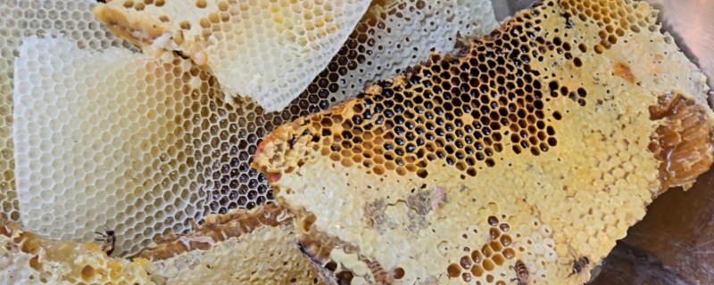 蜂巢蜜的简介，是成熟并已封上蜡盖的蜜脾