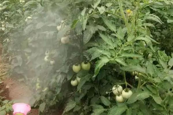 恶霉灵适用病害,可有效防治根腐病、茎基腐病等