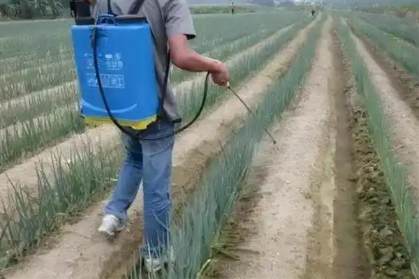 恶霉灵适用病害,可有效防治根腐病、茎基腐病等