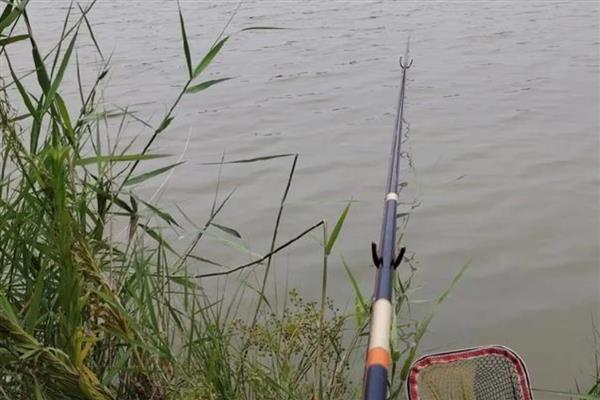 3.0号主线用多重的浮漂,一般配吃铅量2.0-4.0克的浮漂