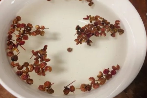 花椒种子的播种时间，秋播时间为种子采收后至土壤结冻前