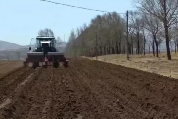 花椒种子的播种时间，秋播时间为种子采收后至土壤结冻前