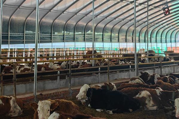 建设养殖场需注意什么，要远离居民区、交通要道等设施