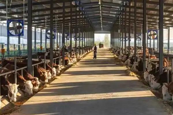 建设养殖场需注意什么，要远离居民区、交通要道等设施