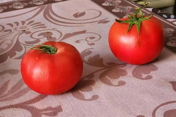 西红柿能不能用冰箱保存，用冰箱冷藏可保存10天左右