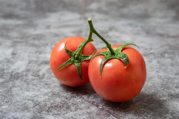 西红柿能不能用冰箱保存，用冰箱冷藏可保存10天左右