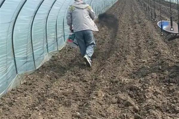 合理施用有机肥的方法，掌握以下4个要点