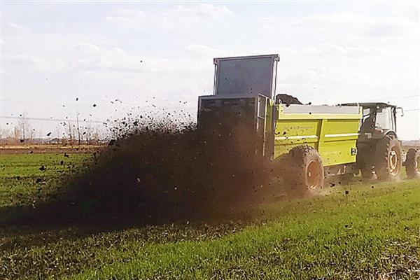 合理施用有机肥的方法，掌握以下4个要点