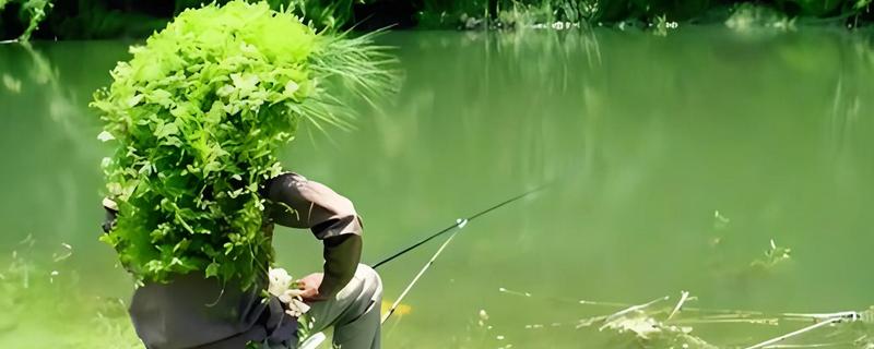 春天是钓深水还是浅水，需根据温度和鱼情决定