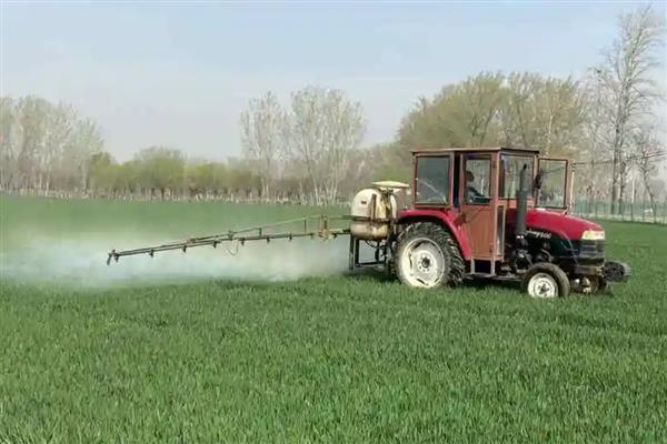 小麦除草剂冬季什么时候打合适，幼苗期和返青期打合适