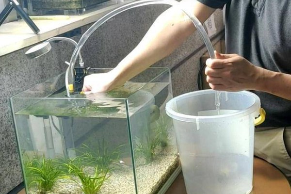 鱼身体腐烂怎么办,隔离后要换水升温