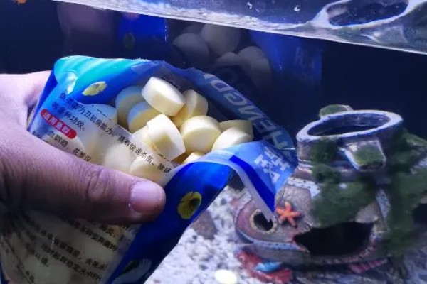 鱼身体腐烂怎么办,隔离后要换水升温