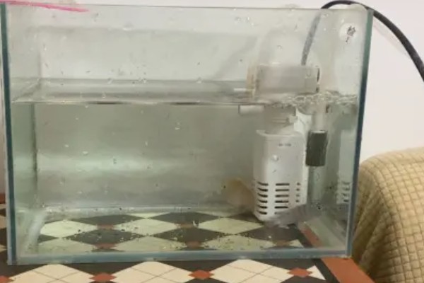 鱼身体腐烂怎么办,隔离后要换水升温