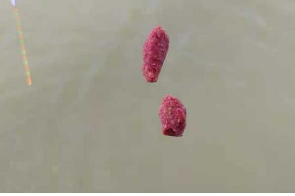 搓饵可以在水里待多久，取决于开饵方式