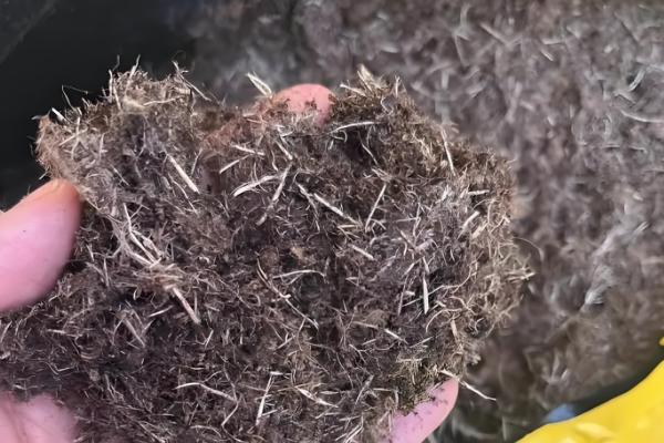 蝴蝶兰怎么进行简易养护，平时把空气湿度保持在60-80%