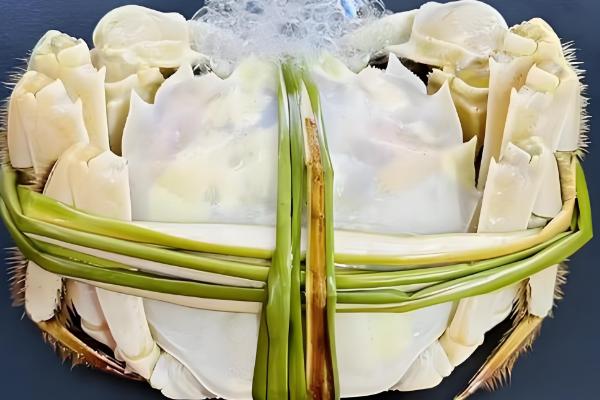 白玉蟹的产地,产自于菲律宾、澳大利亚、印度洋等地