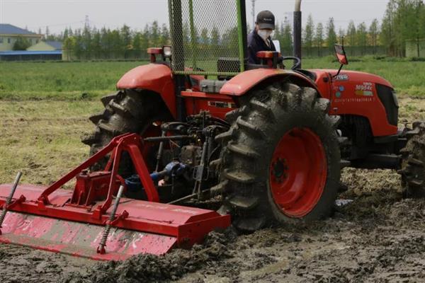 草坪草籽的播种方法，草籽种子与杀菌剂搅拌均匀播种