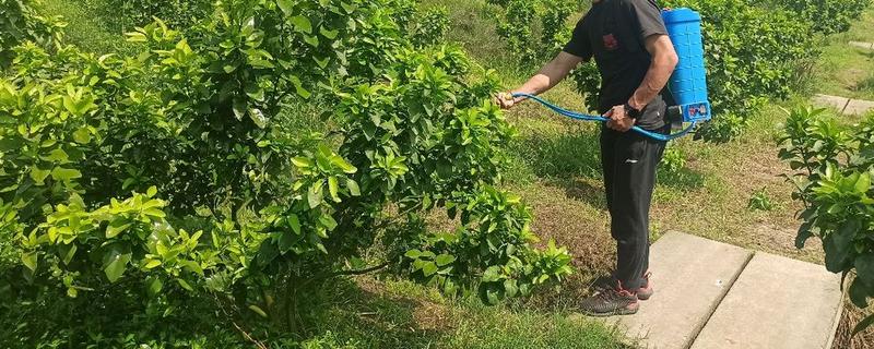 醚菌酯的使用方法，根据防治对象决定用药量