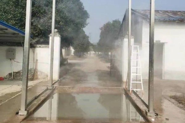 猪场有非瘟能不能熬过去，熬过去的几率不大