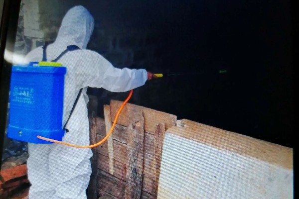 猪场有非瘟能不能熬过去，熬过去的几率不大