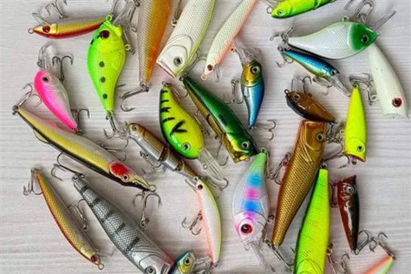 路亚2.4米用几克的饵，在5到15克之间选择饵