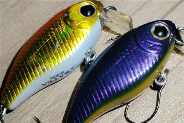 路亚2.4米用几克的饵，在5到15克之间选择饵