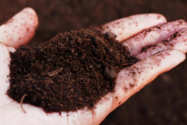 铵态氮肥有什么特点，其易溶于水且易分解