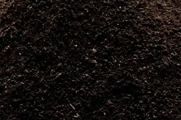 铵态氮肥有什么特点，其易溶于水且易分解