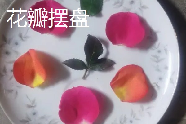 秋季适合种植的花草，有三色堇、风铃草等