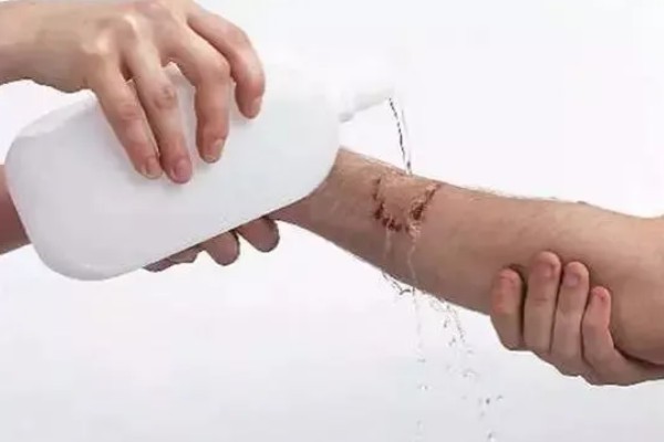 家猫的寿命，通常在15年左右