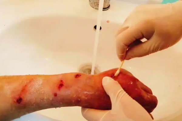 家猫的寿命，通常在15年左右