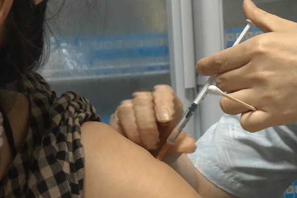 家猫的寿命，通常在15年左右