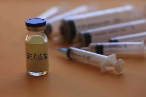 家猫的寿命，通常在15年左右