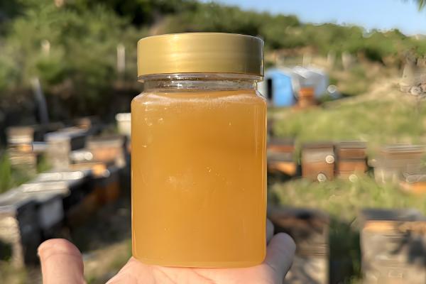 蜂蜜怎么划分种类,按酿制蜂种可分中蜂蜜、意蜂蜜等