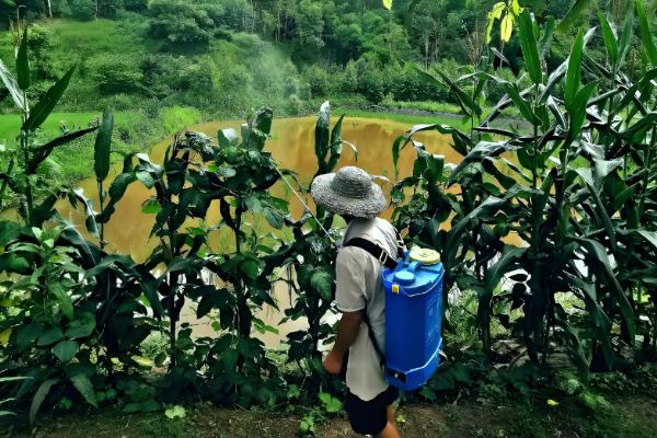 氯氰菊酯的药效期，在春夏季一般为5天左右