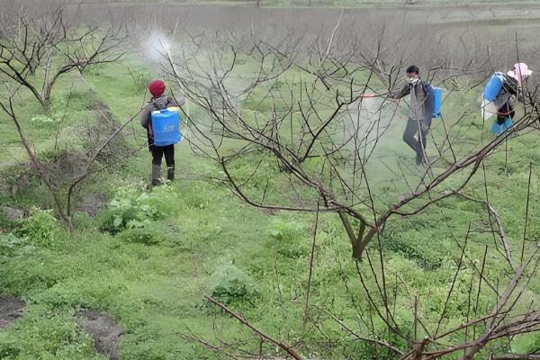 氯氰菊酯的药效期，在春夏季一般为5天左右