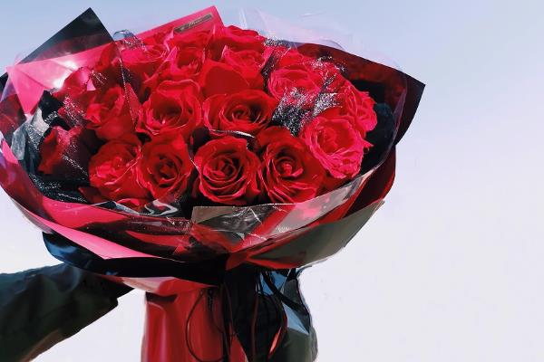 红玫瑰的花语,寓意我爱你、十全十美等