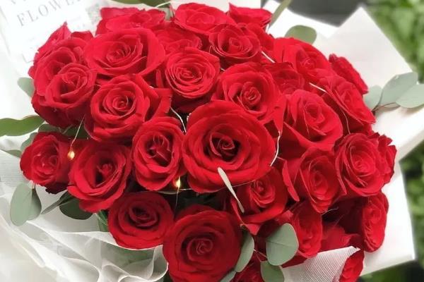 红玫瑰的花语,寓意我爱你、十全十美等