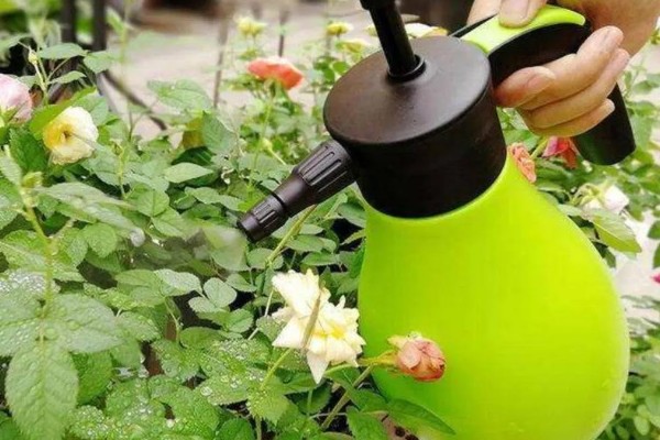 花卉根外追肥的优点,用量少且肥效迅速
