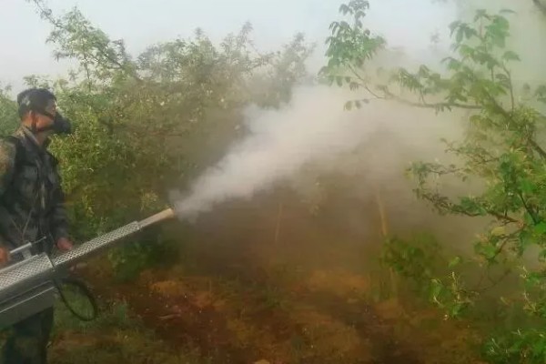 天牛有毒吗，天牛通常没有毒