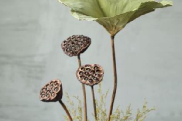 干莲蓬适合插几支，一支、三支、十支都很合适