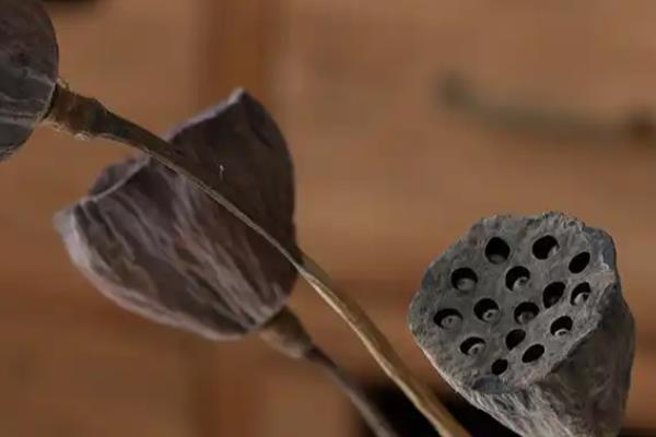 干莲蓬适合插几支，一支、三支、十支都很合适