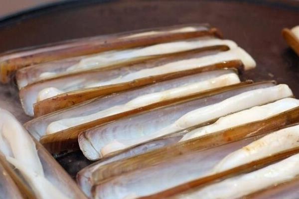 蛏子简介，是常见的食用型贝类