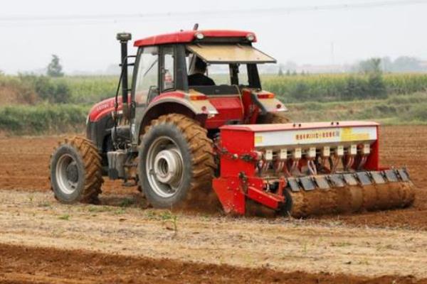 小麦播种过深怎么办,搂土可以降低播种深度